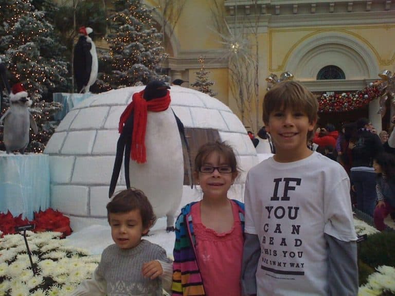 Bellagio Conservatory decorated for Christmas