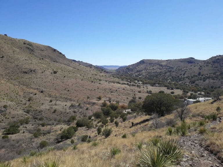 Best Things to Do in Fort Davis, Texas