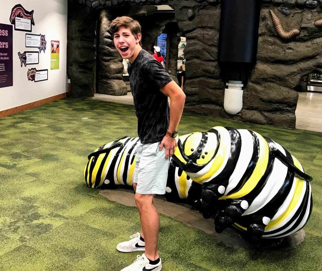 Butterfly Biosphere in Utah Valley