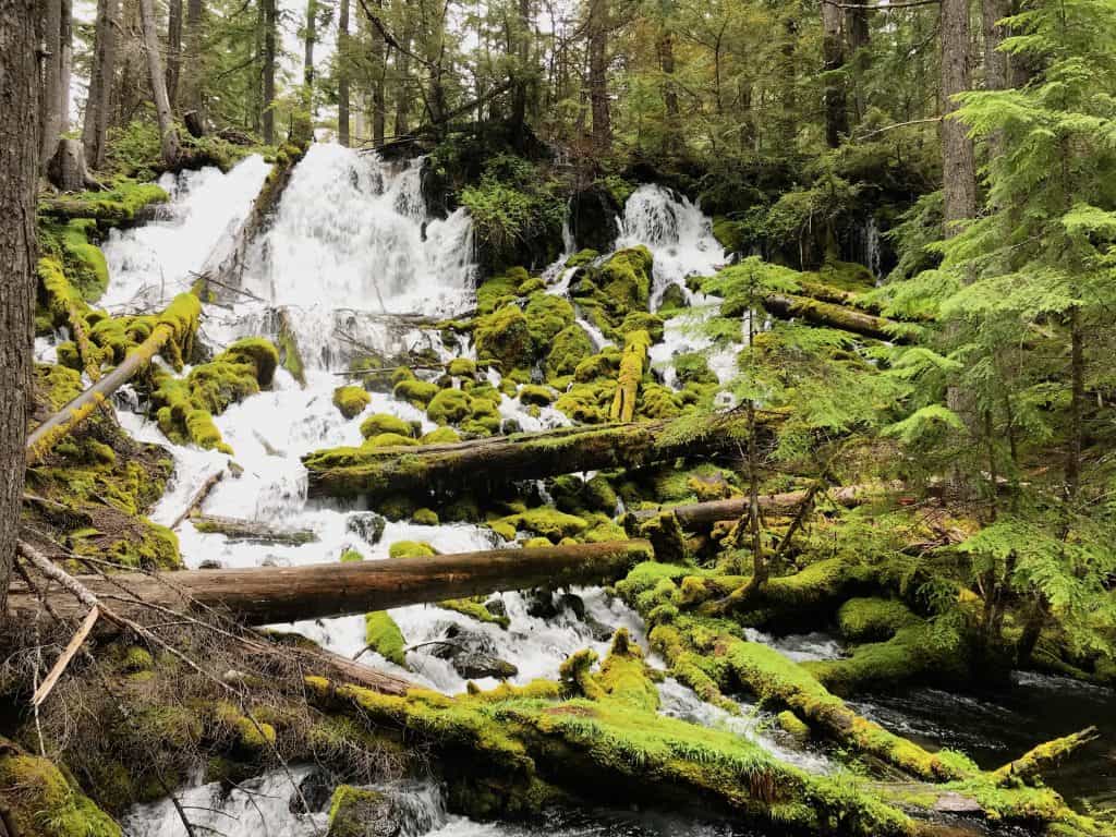 The Ultimate Southern Oregon Road Trip - 9 Day Itinerary 5 Clearwater Falls