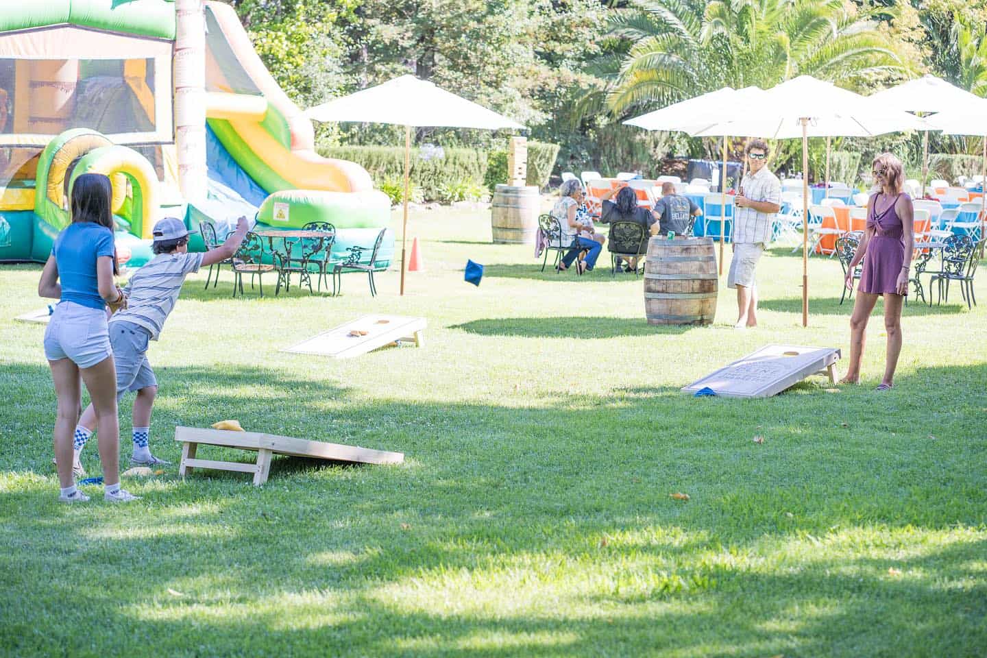 Cline Family Cellars