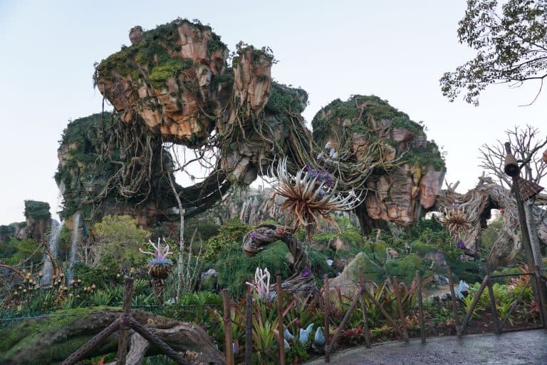 Pandora the world of Avatar at the Animal Kingdom