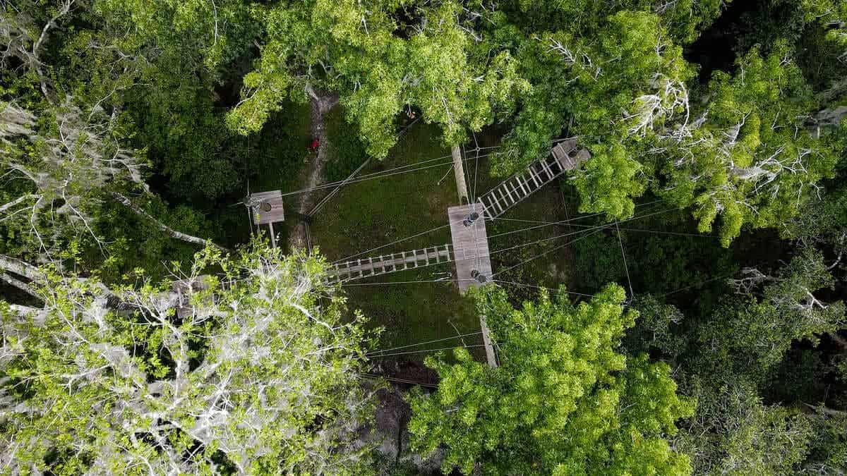 FLG X Adventure Course Tampa