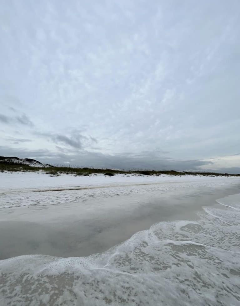 Florida at Christmas