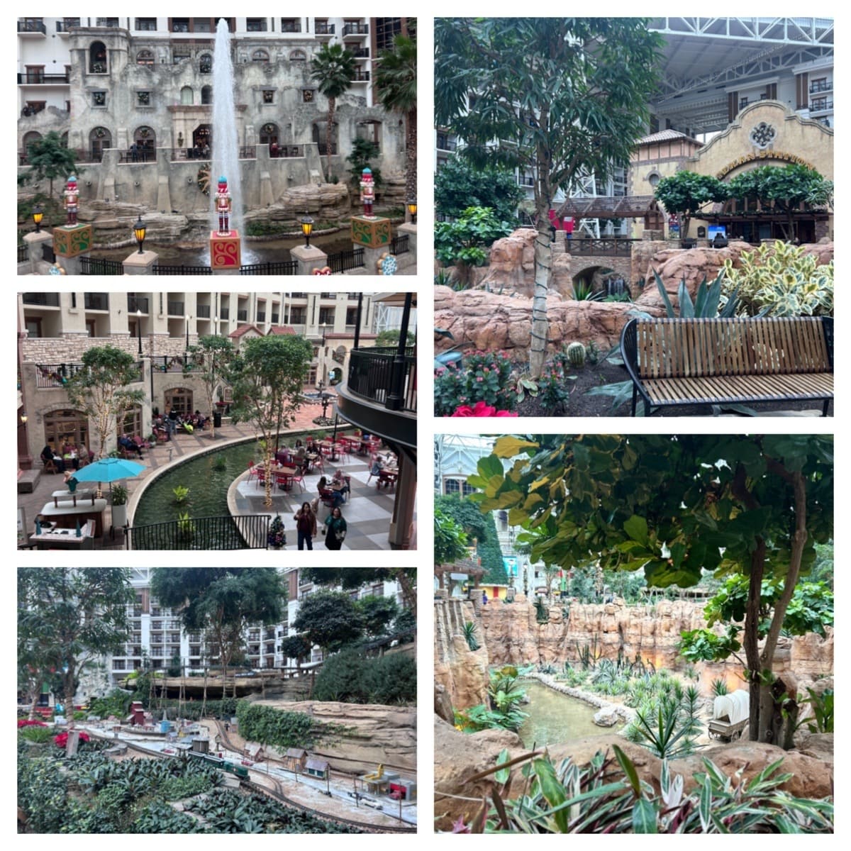Gaylord Texan
