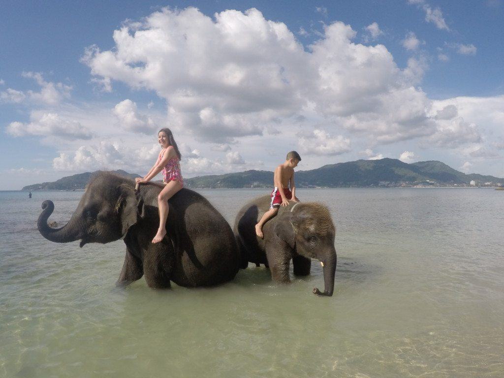 Swimming with Elephants in Phuket
