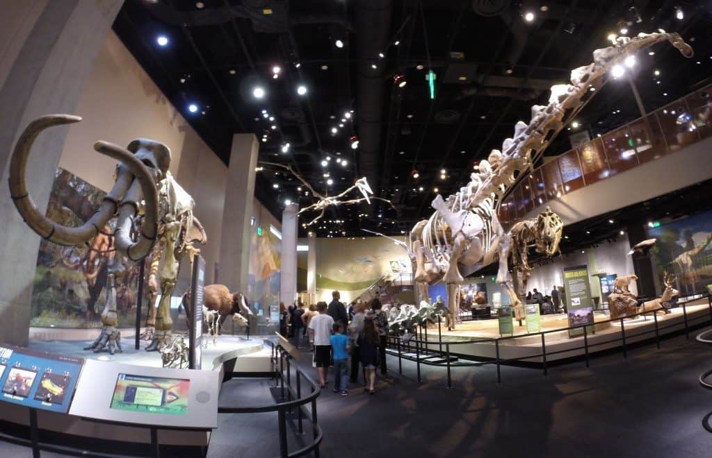 Perot Museum