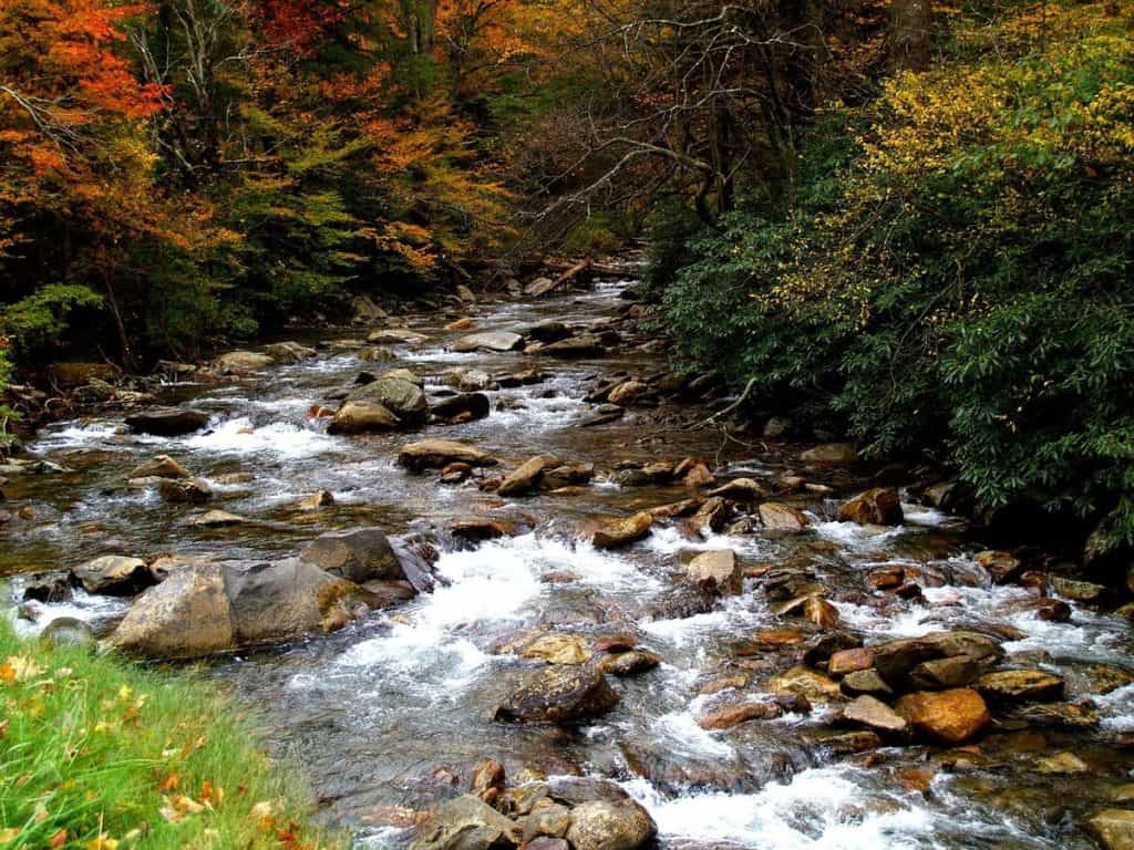 Great Smoky Mountains National Park