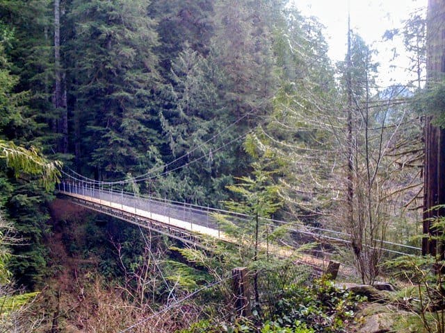 Hiking Drift Creek Falls 58 Hiking Drift Creek Falls near Lincoln City, Oregon