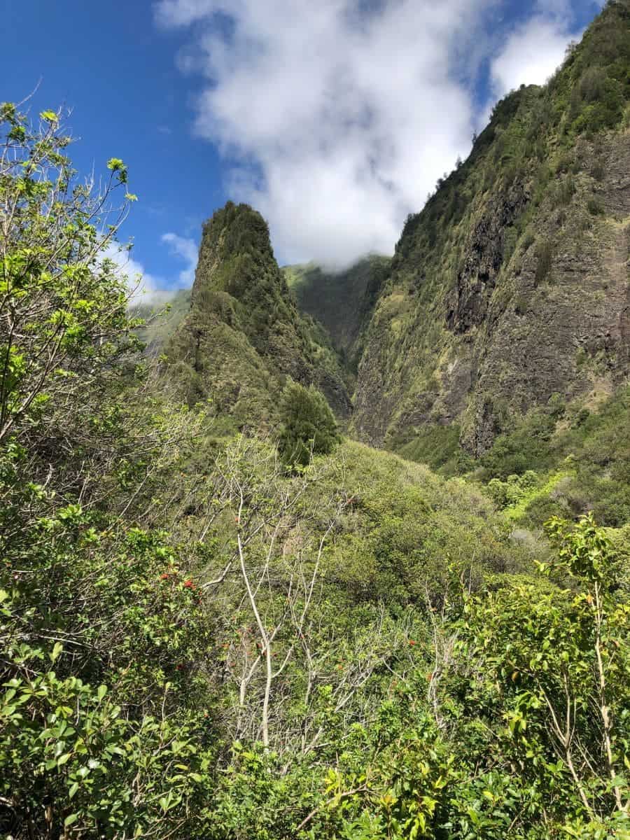 Iao Valley State Monument - Maui