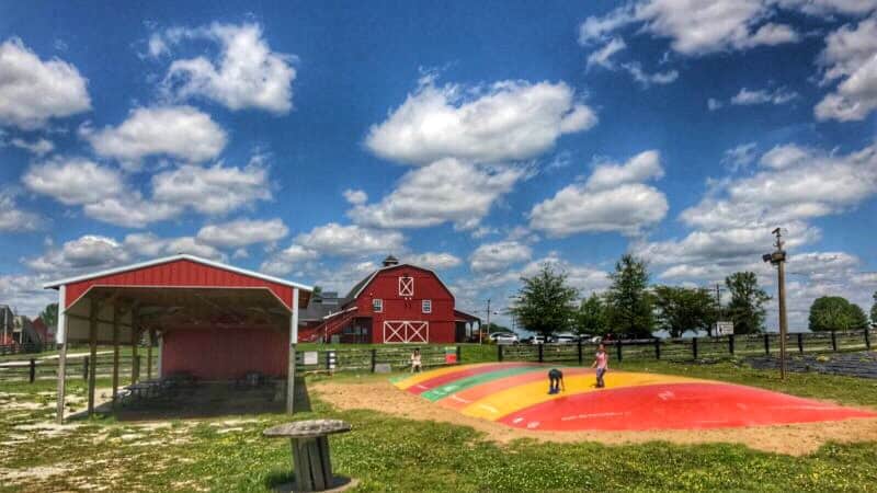 Chainey Dairy Farm in Bowling Green