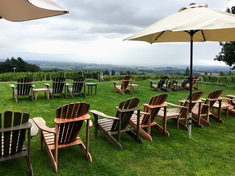 Kid Friendly Wineries in the Willamette Valley