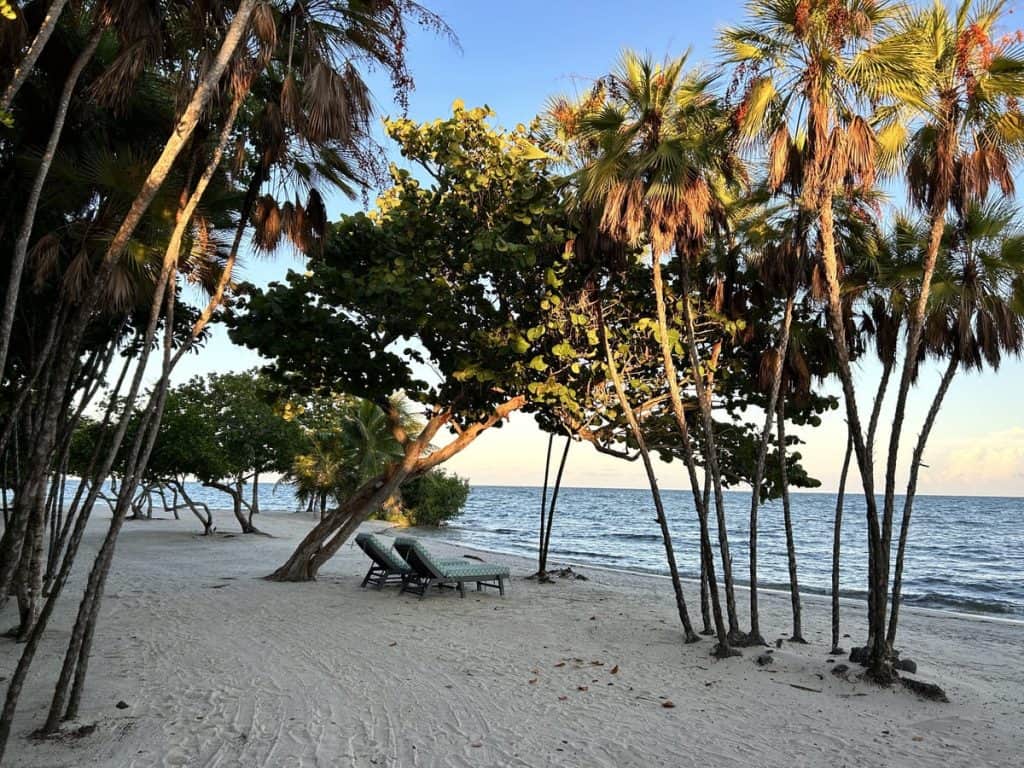 Naia Resort and Spa on the beach