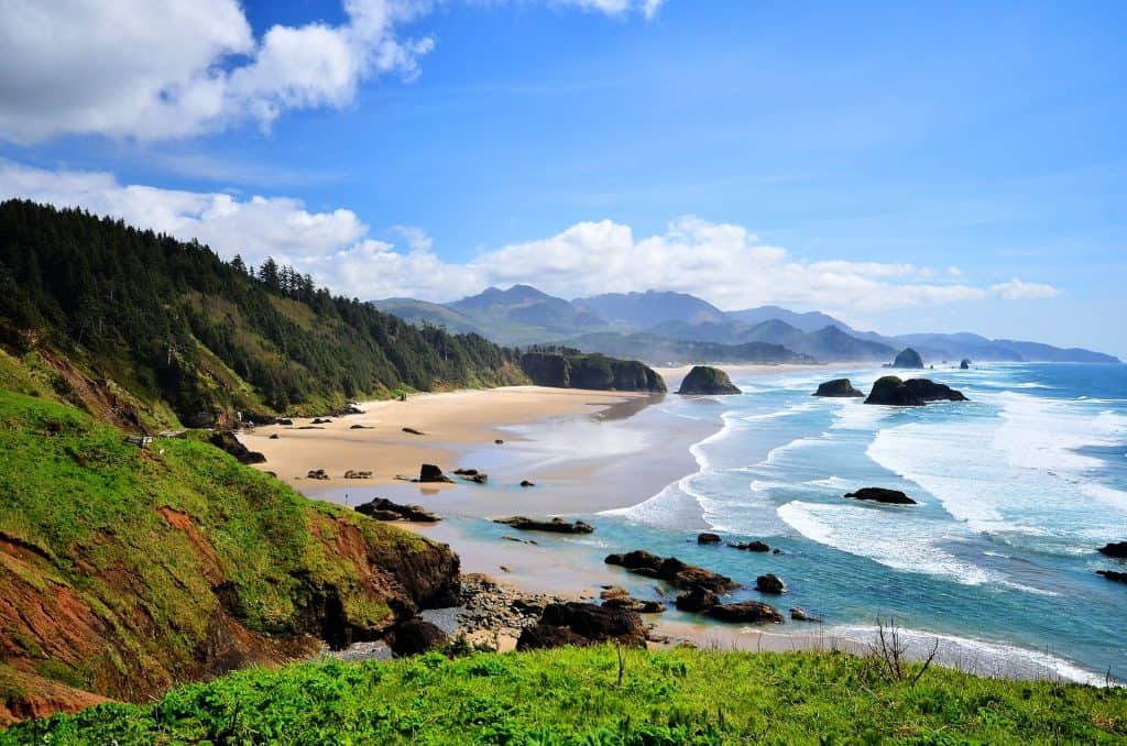 Pacific Northwest Coast in Oregon, USA with waves crashing on beach.