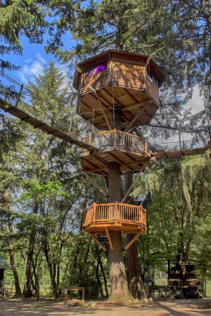 The Ultimate Southern Oregon Road Trip - 9 Day Itinerary 16 Out N About Treehouse Resort