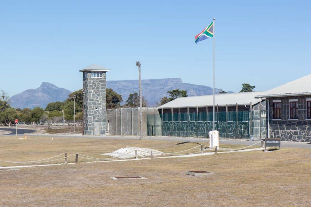 Robben-Island-Turtle