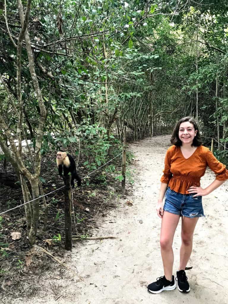 See monkeys in Costa Rica