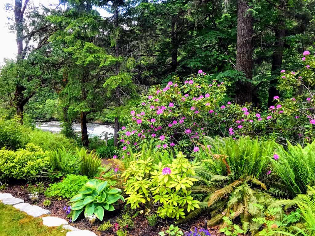 The Ultimate Southern Oregon Road Trip - 9 Day Itinerary 2 Steamboat Inn