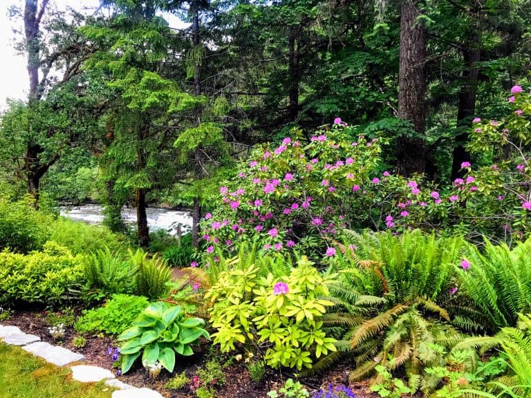 Steamboat Inn 51 Steamboat Inn