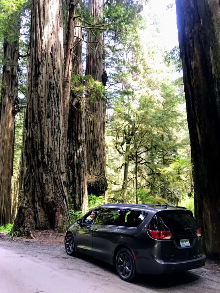 The Ultimate Southern Oregon Road Trip - 9 Day Itinerary 18 Take a Pacifica mini van down Howland hill road in the Redwood National Forest