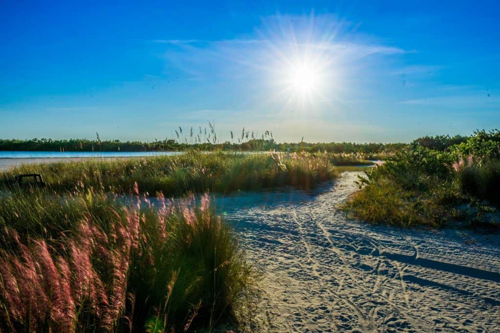 23 Affordable Weekend Getaways in the United States 15 Sand paths through beach grass at Tigertail Beach on Marco Island with a bright sun shining.