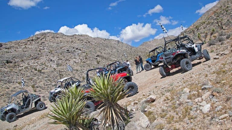 Vegas Off Road
