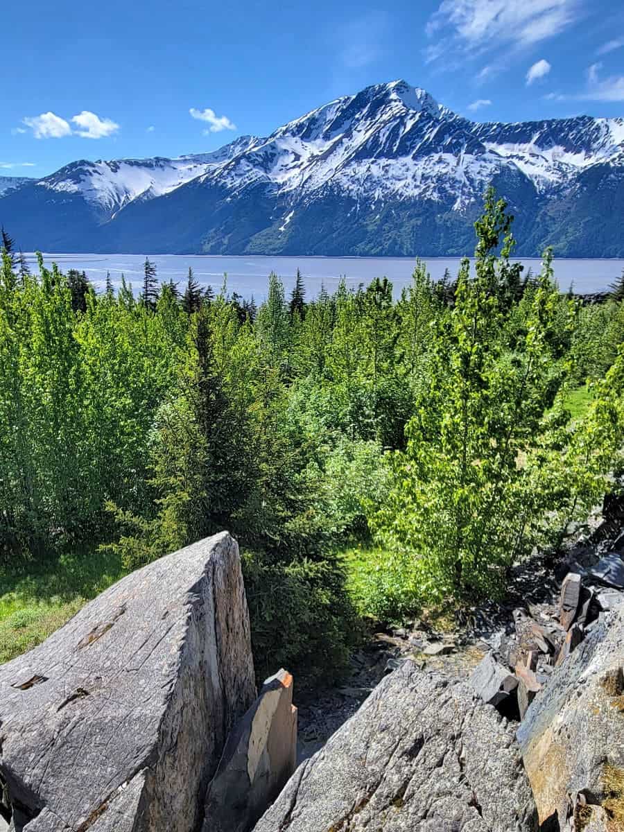 View of Turnagain Arm near Anchorage