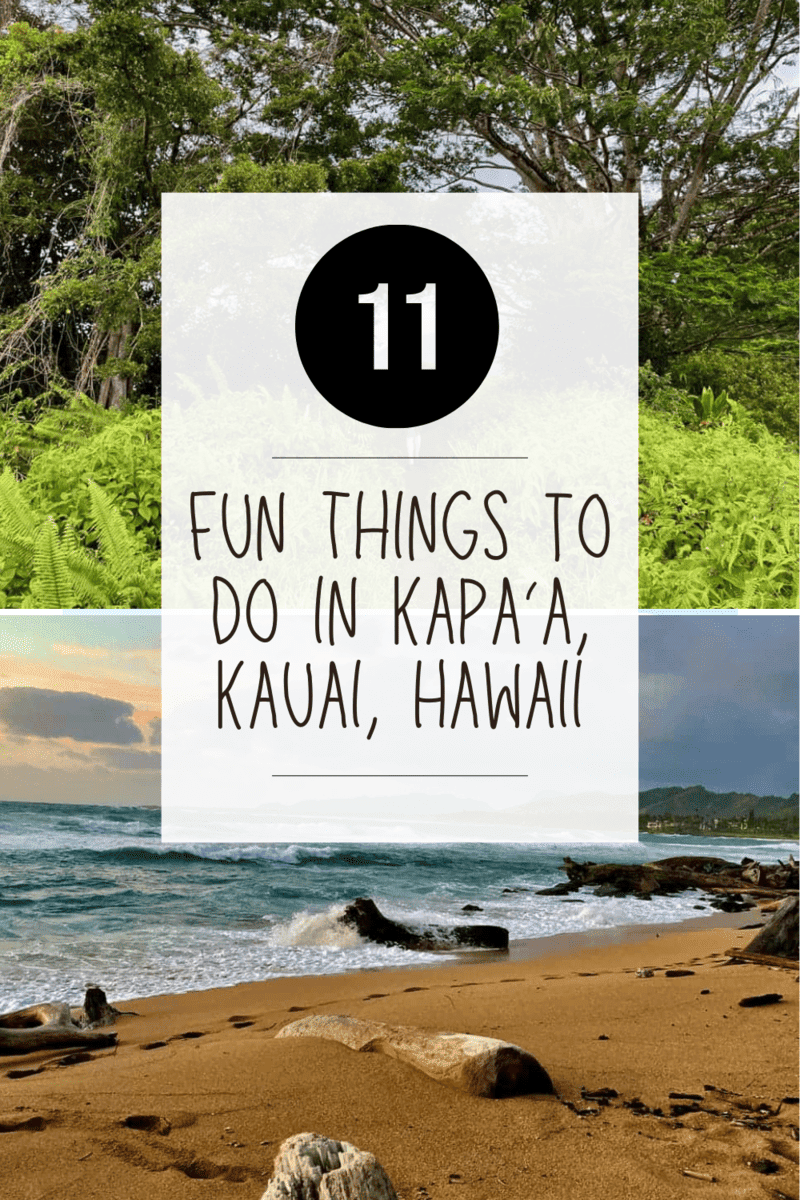 11 Fun things to do in Kapa'a Kauai