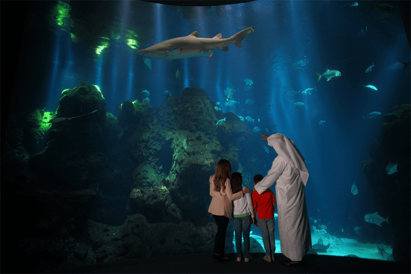 The Scientific Center Kuwait